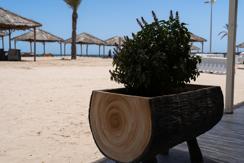 Doha: Full day Overnight & Day pass in Pvt Desert Beach Camp Doha: Full day Dune Bashing with a meal in Desert Beach Camp