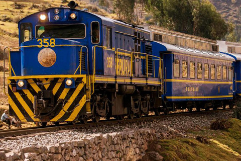 Machu Picchu: 1-day tour by Vistadome Panoramic trainMachupicchu tour: by train vistadome