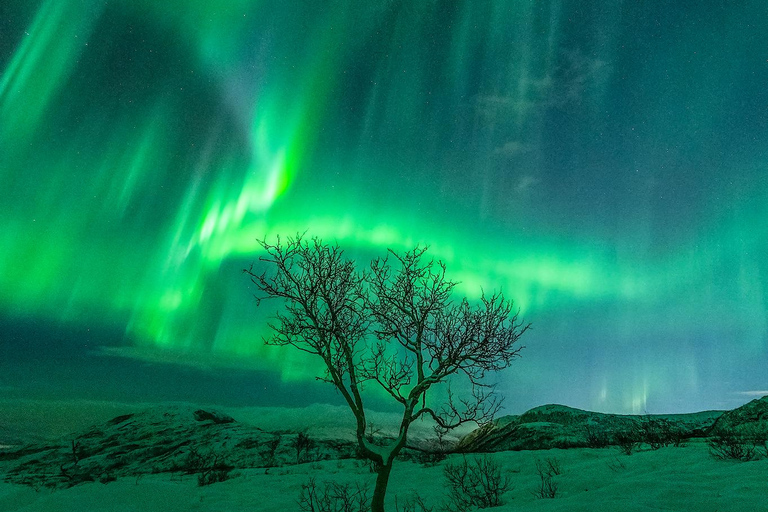 Avventura con l&#039;aurora boreale