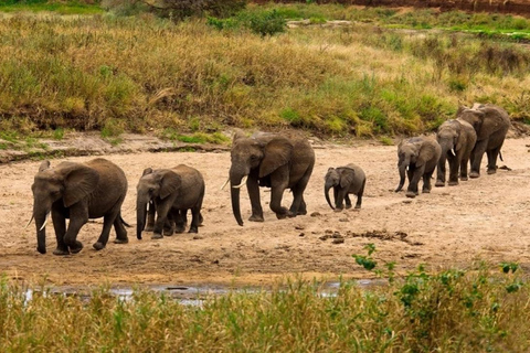 5-daagse safari naar Tarangire, Serengeti en de Ngorongorokrater