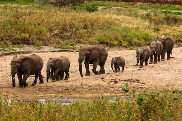 Safari di 5 giorni a Tarangire, Serengeti e cratere di Ngorongoro