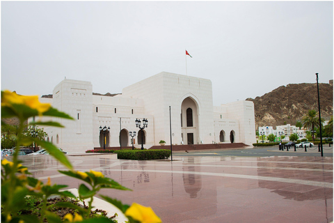 Muscat: National Museum of Oman Entry Ticket