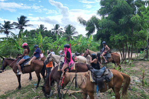 Cavalca nel paradiso: Punta Cana a cavallo sulla spiaggia.Corsa completa