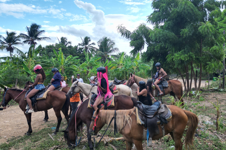 Cavalca nel paradiso: Punta Cana a cavallo sulla spiaggia.Corsa completa