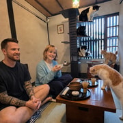 Kyoto: 【Private/Group】Ethical Cat Sanctuary & Tea Ceremony