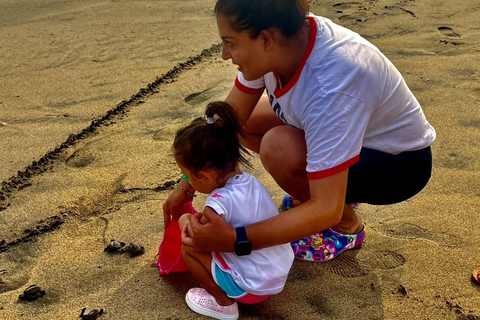 Desde Huatulco: Excursión Ecológica Cocodrilos y TortugasServicio Privado en Vehículo Avanza
