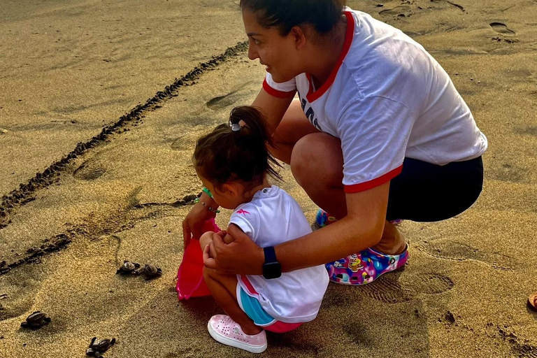 Desde Huatulco: Excursión Ecológica Cocodrilos y TortugasServicio Privado en Vehículo Avanza