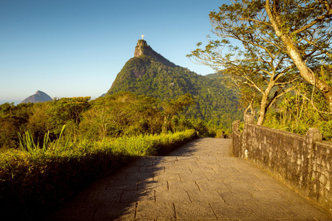 HELE DAG RIO DE JANEIRO