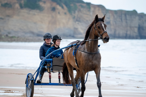 Omaha Beach: Sulky baptism on the beach