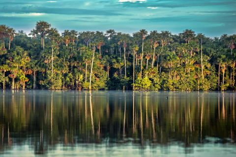 From Puerto Maldonado: 2 Days Sandoval Lake -Into the Jungle