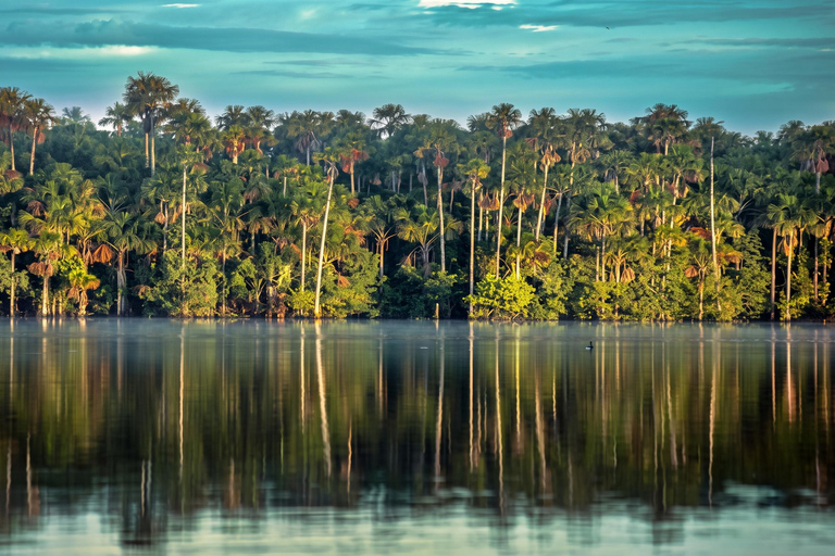 From Puerto Maldonado: 2 Days Sandoval Lake -Into the Jungle