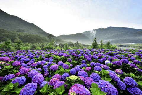 Vanuit Taipei: Yangmingshan, Yehliu, Jiufen, Shifen DagtourVanuit Taipei: Yangmingshan, Yehliu, 1000 Lake Island, Jiufen