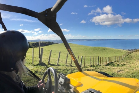 Rotorua: 4×4 Self Drive Buggy Tour through Farm and Bushland