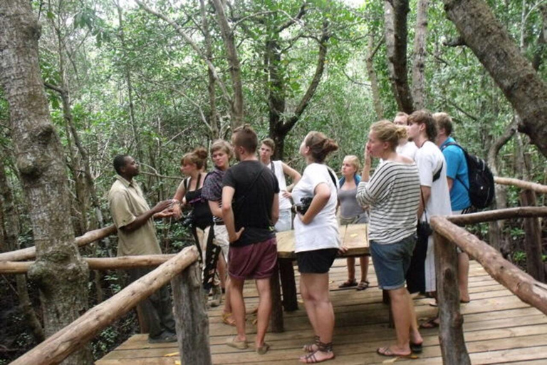 Zanzibar: Privat Jozani-skogen, Kuza-grottan och Rock RestaurantZanzibar: Privat Jozani-skogen, Kuza-grottan och Rock-restaurangen