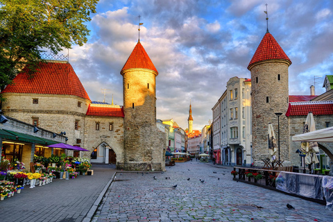 Wandeltour met gids in de oude stad van Tallinn