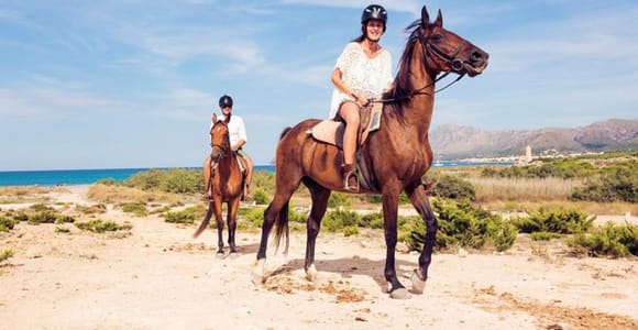 Paros: Morning Island Horseback Riding Adventure