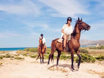 Paros: Morning Island Horseback Riding Adventure