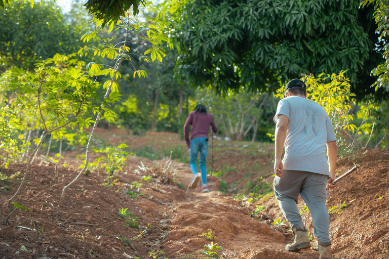 Kigali : Promenade contée du village de Gatsata au Mont Jali