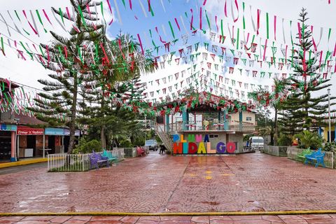 Huatulco: Pluma Hidalgo Coffee Origin and Essence.