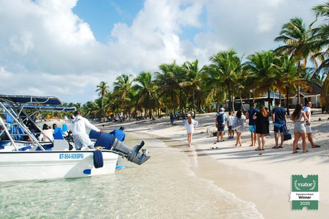 Bayahibe: Saona Island Small-Group Boat Tour with Lunch