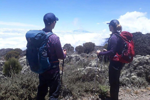 Nairobi: Mount Kenya 2-Day Guided Hiking Tour with Meals