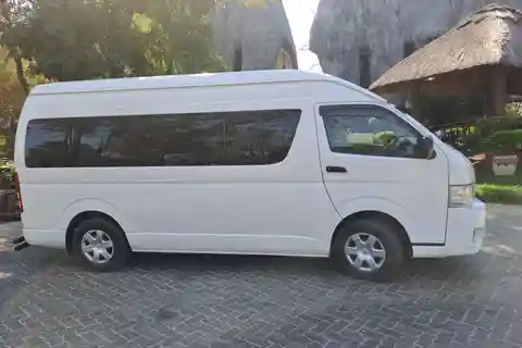 Prise en charge et transfert à l'aéroport de Vic Falls