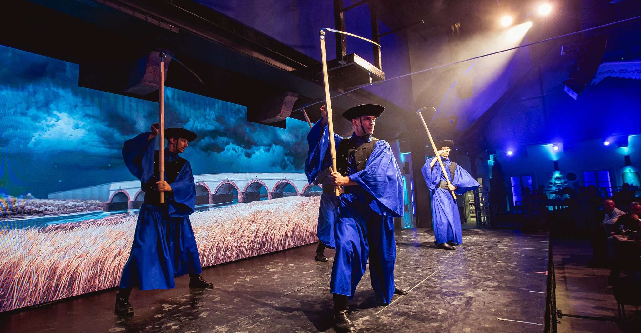 Budapest: Hungarian Dinner & Show with Unlimited Drinks photo 12