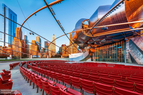 Tour privato a piedi dei punti salienti del centro di Chicago