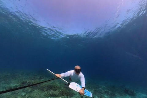 GILI TRAWANGAN : SUBWING GILI EILANDgroepsreis