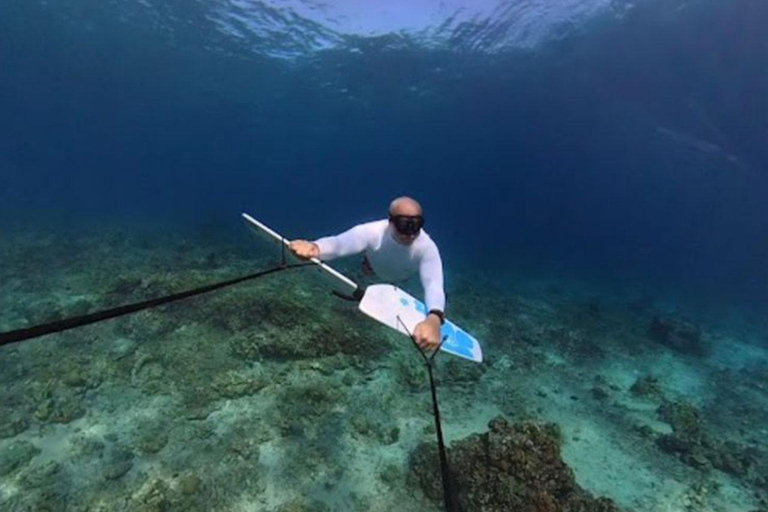 GILI TRAWANGAN : SUBWING GILI ISLANDresa med delad grupp