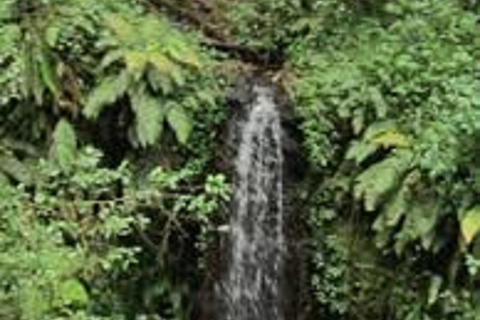 Escalada do Kilimanjaro: Experiência de 1 dia na Rota de Marangu