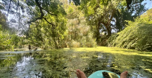 Syracuse: Guided Kayak Tour on the Ciane and Anapo Rivers