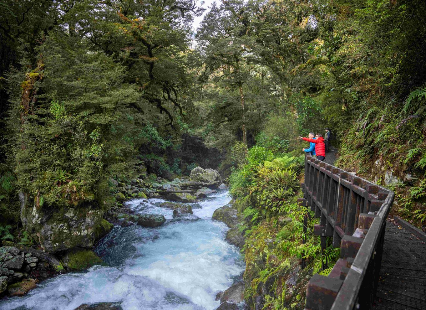 Fra Te Anau: Milford Sound bus, krydstogt og vandreture