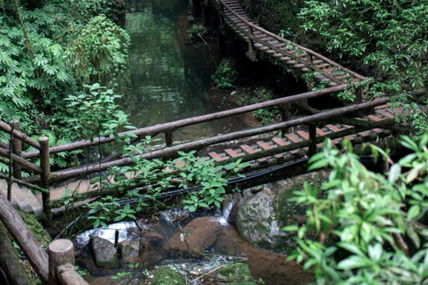 Chengdu: Qingcheng-berg, Dujiangyan en Sichuan-operaQingcheng Mountain, Dujiangyan&amp;SiChuan Opera All-Inclusive