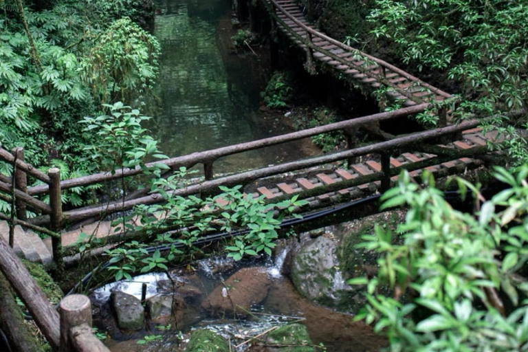 Chengdu: Qingcheng-berg, Dujiangyan en Sichuan-operaQingcheng Mountain, Dujiangyan&amp;SiChuan Opera All-Inclusive