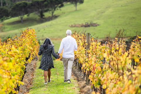 Von Auckland aus: Taste Of Waiheke Island Tagestour