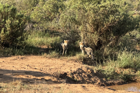 Samburu National Reserves: Optional Village Tour & Swimming