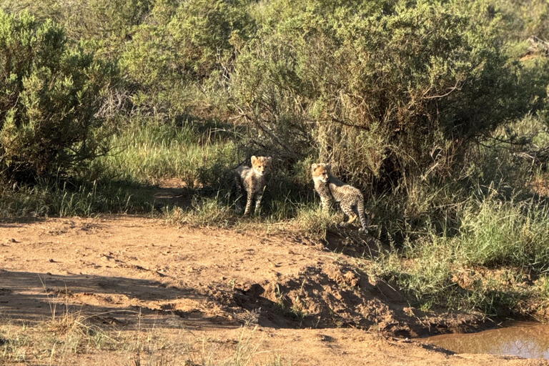 Samburu National Reserves: Optional Village Tour & Swimming