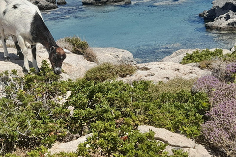 Escursione privata sulla spiaggia di Elafonissi e Falassarna (con SUP)elaf falas