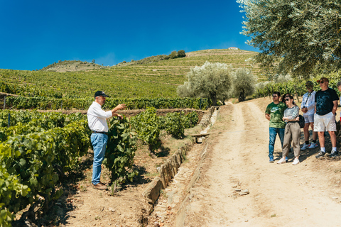 Vallée du Douro : circuit vins avec déjeuner et croisièrePrise en charge et le retour à votre hôtel inclus