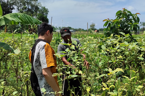 Yogyakarta: clase de cocina con visita al mercado y servicio de recogida del hotelClase de cocina con servicio de recogida del hotel