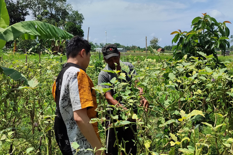 Yogyakarta: clase de cocina con visita al mercado y servicio de recogida del hotelClase de cocina con servicio de recogida del hotel