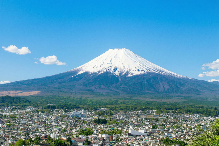 Mt. Fuji & Hakone Tour: Arakurayama, OshinoHakkai, Owakudani Tokyo Station | 7:30 AM Departure with English Guide