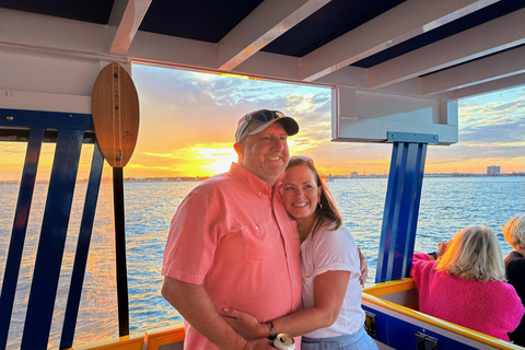 Charleston: Rejs w poszukiwaniu delfinów z Shem Creek