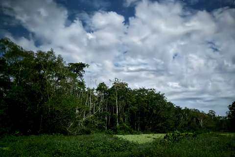 Limoncocha Eco-Tour de 1 día: observación de aves y canotaje en el Amazonas