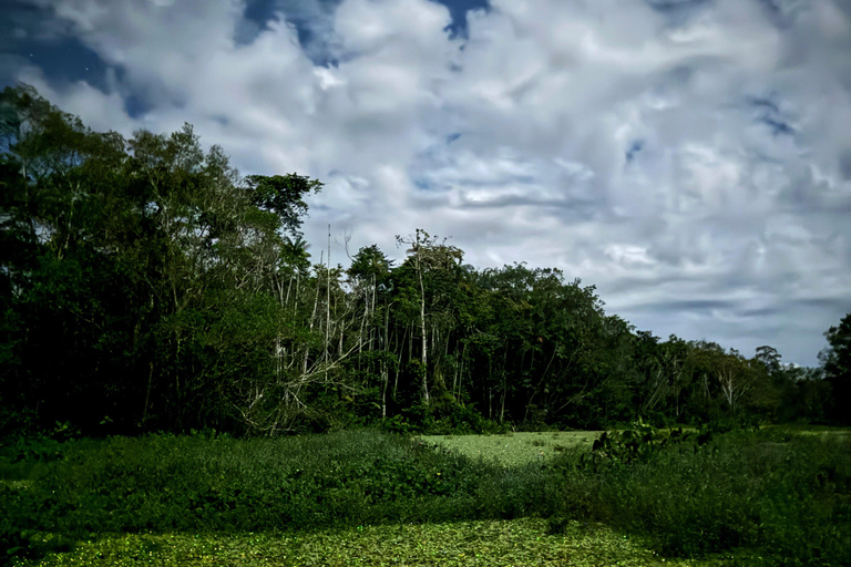 Eco-tour Limoncocha d&#039;une journée : observation des oiseaux et canoë-kayak en Amazonie