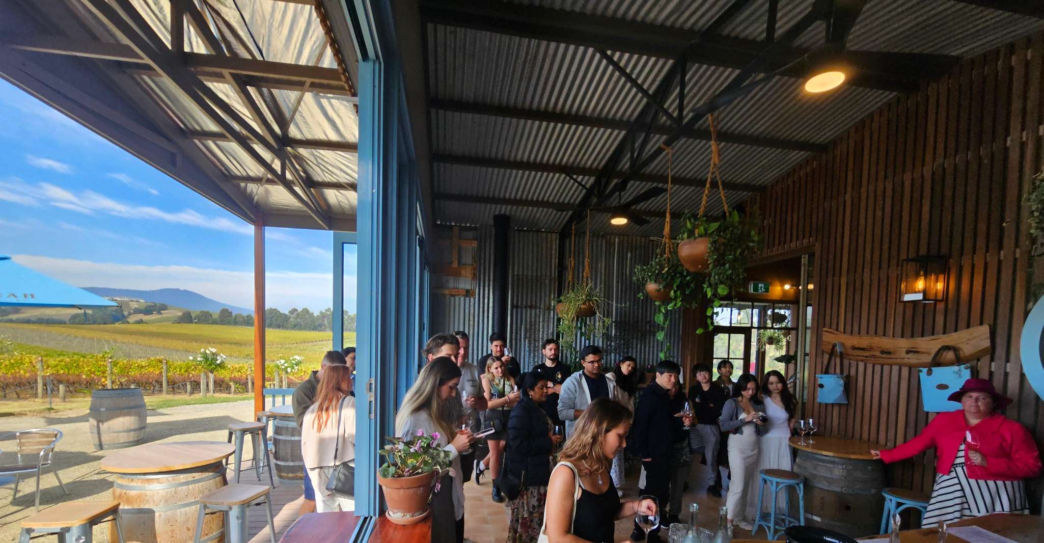 Melbourne: Yarra Valley Wine, Gin, Whisky and Chocolate Tour photo 4