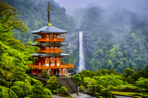Guided Wakayama Heritage & Forest Trails with Hotel Pickup