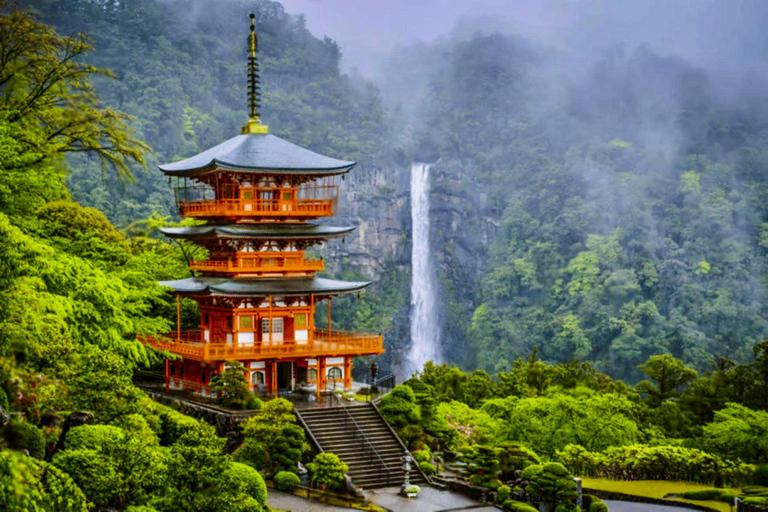 Guided Wakayama Heritage & Forest Trails with Hotel Pickup