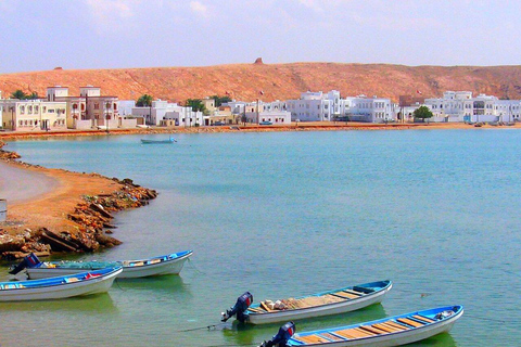 Au départ de Mascate : visite de Wadi Shaab et de Sur